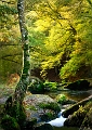 paysage 25_10_09n01bis